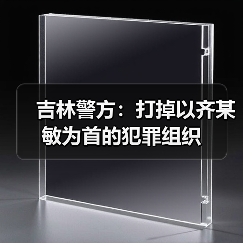 吉林警方：打掉以齐某敏为首的犯罪组织（图2）