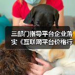 三部门指导平台企业落实《互联网平台价格行为规则》（图3）