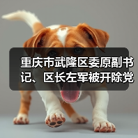 重庆市武隆区委原副书记、区长左军被开除党籍和公职（图3）