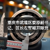 重庆市武隆区委原副书记、区长左军被开除党籍和公职（图1）