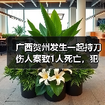 广西贺州发生一起持刀伤人案致1人死亡，犯罪嫌疑人已被刑拘（图1）