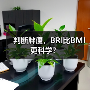 判断胖瘦，BRI比BMI更科学？（图4）