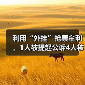 利用“外挂”抢票牟利，1人被提起公诉4人被罚（图3）
