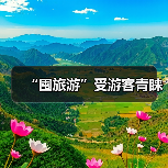 “囤旅游”受游客青睐（图3）