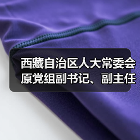 西藏自治区人大常委会原党组副书记、副主任丁业现接受中央纪委国家监委纪律审查和监察调查（图2）