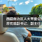 西藏自治区人大常委会原党组副书记、副主任丁业现接受中央纪委国家监委纪律审查和监察调查（图4）