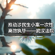推动涉民生小案一次性高效执毕——武汉法院连续四年开展“荆楚雷霆武汉行动”（图2）