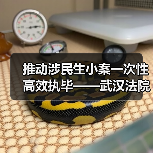 推动涉民生小案一次性高效执毕——武汉法院连续四年开展“荆楚雷霆武汉行动”（图1）