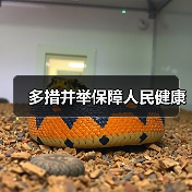 多措并举保障人民健康（图1）