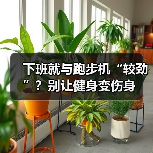 下班就与跑步机“较劲”？别让健身变伤身（图2）