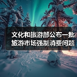 文化和旅游部公布一批旅游市场强制消费问题典型案例（图4）