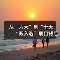 从“六大”到“十大”，“双入选”项目背后的文化密码（图3）