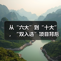 从“六大”到“十大”，“双入选”项目背后的文化密码（图4）