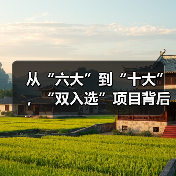 从“六大”到“十大”，“双入选”项目背后的文化密码（图2）