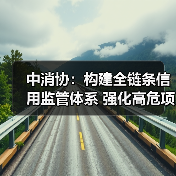 中消协：构建全链条信用监管体系 强化高危项目安全准入与动态监管（图3）