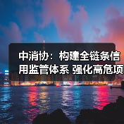中消协：构建全链条信用监管体系 强化高危项目安全准入与动态监管（图4）