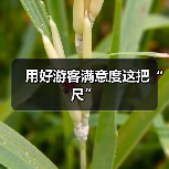 用好游客满意度这把“尺”