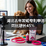 湖北去年发明专利申请同比增长45%（图2）