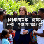 中种集团宣布：将首次种植“全基因组育种芯片”新稻种（图2）