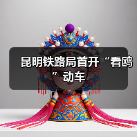 昆明铁路局首开“看鸥”动车（图1）