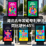 湖北去年发明专利申请同比增长45%（图3）