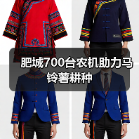 肥城700台农机助力马铃薯耕种（图2）