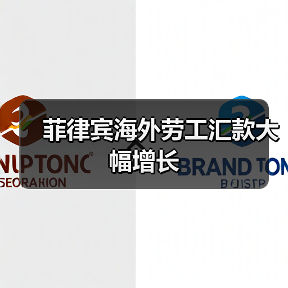 菲律宾海外劳工汇款大幅增长（图4）