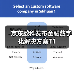京东数科发布金融数字化解决方案T1（图4）
