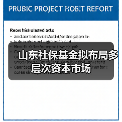 山东社保基金拟布局多层次资本市场（图4）