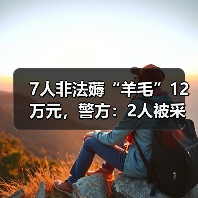 7人非法薅“羊毛”12万元，警方：2人被采取刑事强制措施（图3）