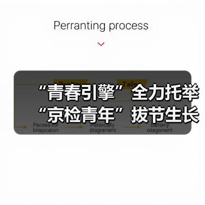 “青春引擎”全力托举 “京检青年”拔节生长（图1）