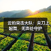 云豹突击大队：尖刀上起舞，无声处守护（图2）