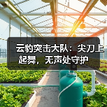 云豹突击大队：尖刀上起舞，无声处守护（图1）