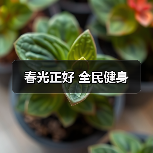 春光正好 全民健身（图2）