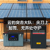 云豹突击大队：尖刀上起舞，无声处守护