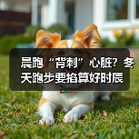 晨跑“背刺”心脏？冬天跑步要掐算好时辰（图2）