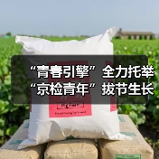 “青春引擎”全力托举 “京检青年”拔节生长（图2）