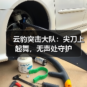 云豹突击大队：尖刀上起舞，无声处守护（图1）