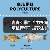 “青春引擎”全力托举 “京检青年”拔节生长（图4）