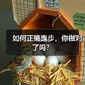 如何正确跑步，你做对了吗？（图2）