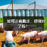 如何正确跑步，你做对了吗？（图1）