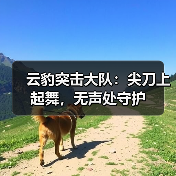 云豹突击大队：尖刀上起舞，无声处守护（图1）