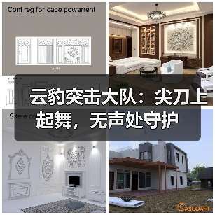云豹突击大队：尖刀上起舞，无声处守护（图2）
