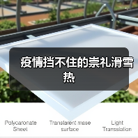 疫情挡不住的崇礼滑雪热（图2）