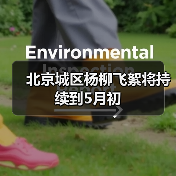 北京城区杨柳飞絮将持续到5月初（图4）