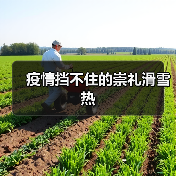 疫情挡不住的崇礼滑雪热