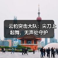 云豹突击大队：尖刀上起舞，无声处守护（图4）