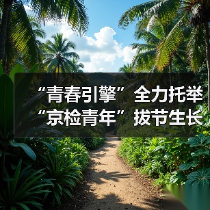 “青春引擎”全力托举 “京检青年”拔节生长（图4）