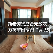 新老骑警磨合无数次 只为英雄回家路“编队如一体”
