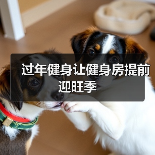 过年健身让健身房提前迎旺季(图4) 过年健身让健身房提前迎旺季(图4)